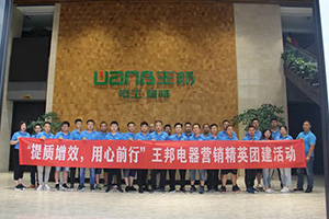 提质增效 用心前行 | 王邦电器营销精英团建活动成功举办！