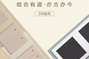 艺术开关Z09系列，带你解锁轻奢新生活！